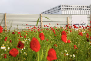 Campus EDF Paris Saclay