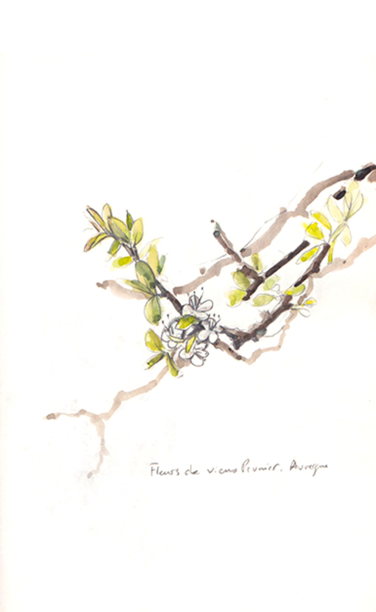 dessin – Dessins