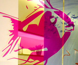 Illustrations