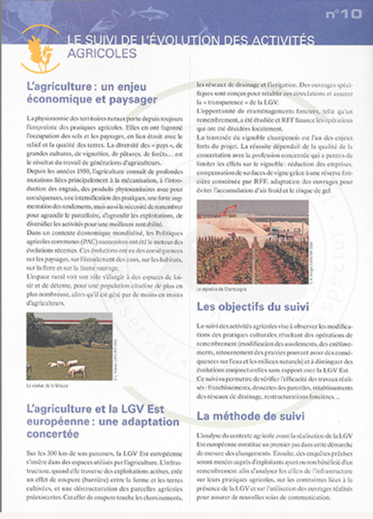RFF – Réseau Ferré de France