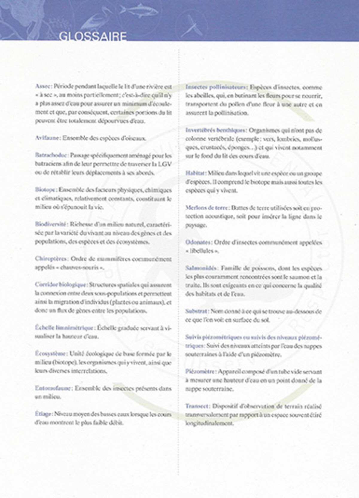 RFF – Réseau Ferré de France